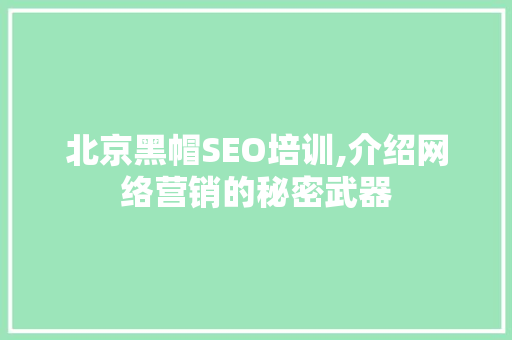 北京黑帽SEO培训,介绍网络营销的秘密武器