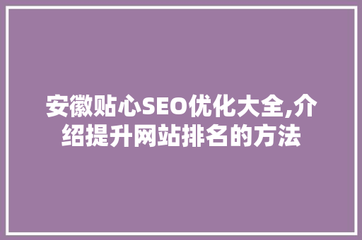安徽贴心SEO优化大全,介绍提升网站排名的方法