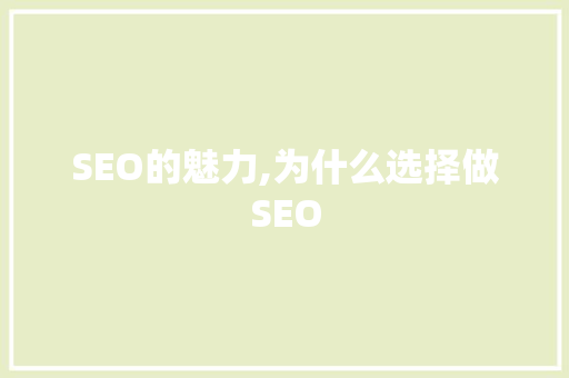 SEO的魅力,为什么选择做SEO