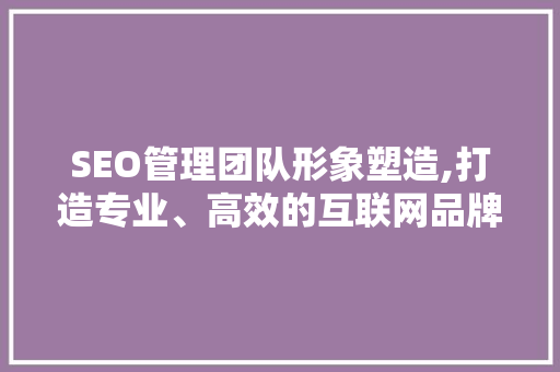 SEO管理团队形象塑造,打造专业、高效的互联网品牌