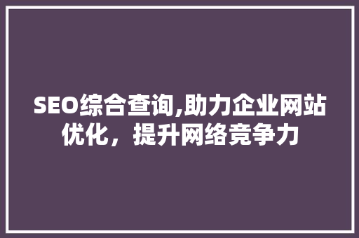 SEO综合查询,助力企业网站优化，提升网络竞争力