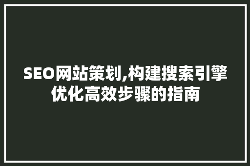SEO网站策划,构建搜索引擎优化高效步骤的指南