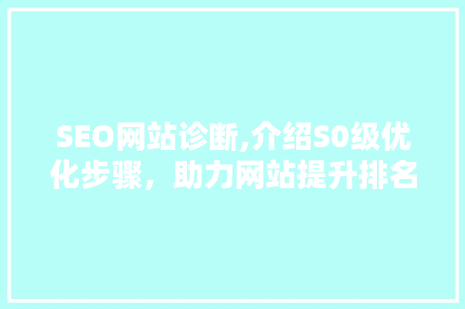 SEO网站诊断,介绍S0级优化步骤，助力网站提升排名