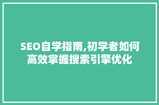 SEO自学指南,初学者如何高效掌握搜索引擎优化