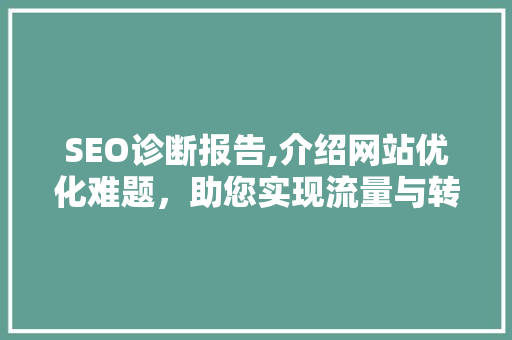 SEO诊断报告,介绍网站优化难题，助您实现流量与转化双丰收
