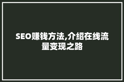 SEO赚钱方法,介绍在线流量变现之路