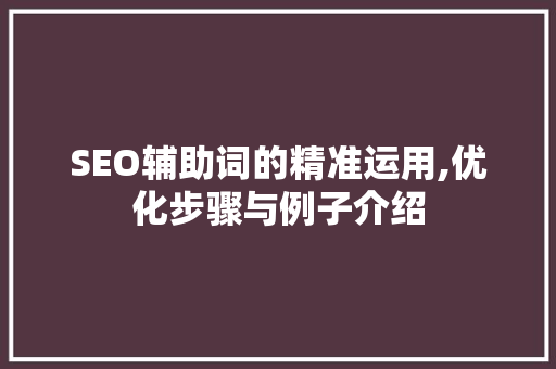 SEO辅助词的精准运用,优化步骤与例子介绍