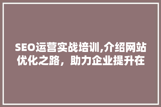 SEO运营实战培训,介绍网站优化之路，助力企业提升在线竞争力
