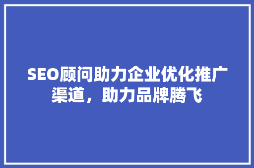 SEO顾问助力企业优化推广渠道，助力品牌腾飞