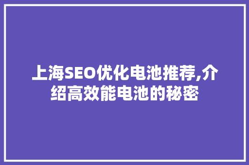 上海SEO优化电池推荐,介绍高效能电池的秘密