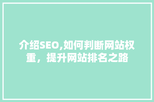 介绍SEO,如何判断网站权重，提升网站排名之路  第1张