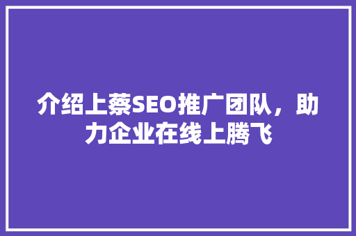 介绍上蔡SEO推广团队，助力企业在线上腾飞