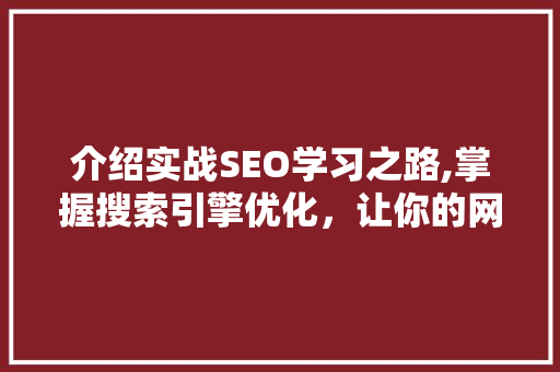 介绍实战SEO学习之路,掌握搜索引擎优化，让你的网站脱颖而出  第1张