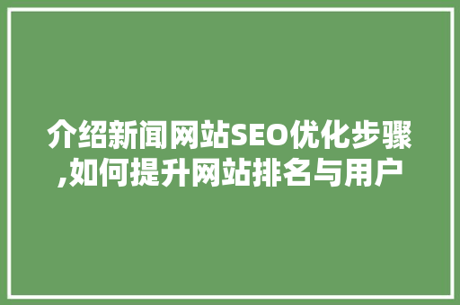 介绍新闻网站SEO优化步骤,如何提升网站排名与用户体验