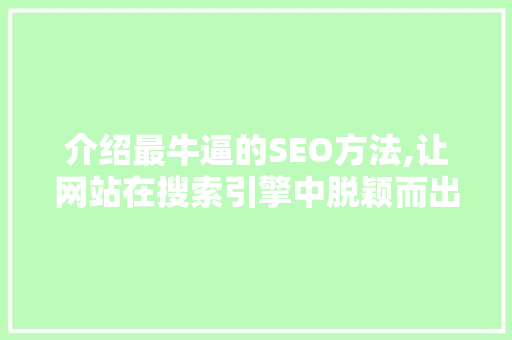 介绍最牛逼的SEO方法,让网站在搜索引擎中脱颖而出
