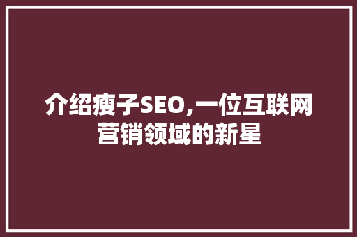 介绍瘦子SEO,一位互联网营销领域的新星  第1张