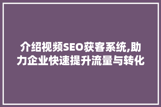 介绍视频SEO获客系统,助力企业快速提升流量与转化率