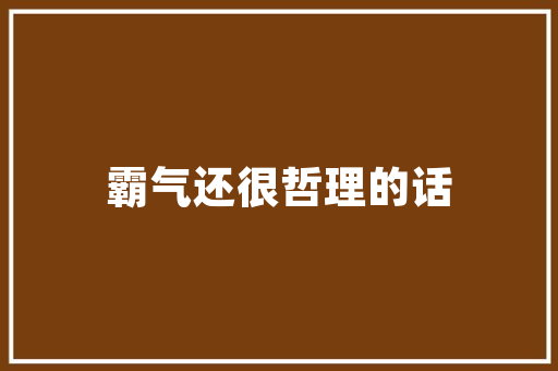 介绍黑帽SEO引流推广,如何快速提升网站流量与排名