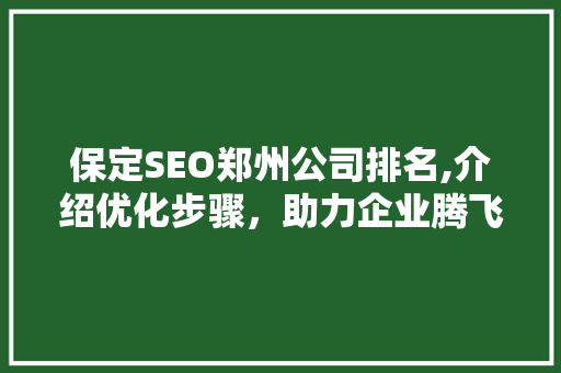 保定SEO郑州公司排名,介绍优化步骤，助力企业腾飞