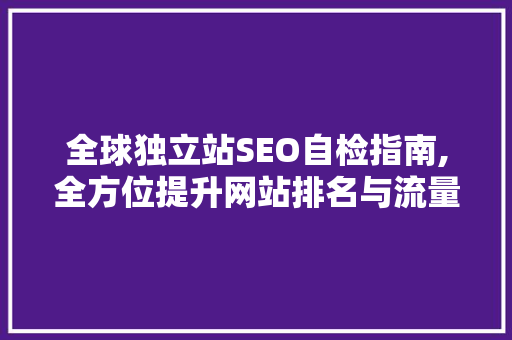 全球独立站SEO自检指南,全方位提升网站排名与流量