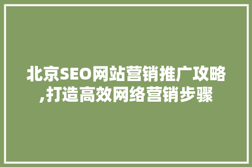 北京SEO网站营销推广攻略,打造高效网络营销步骤  第1张