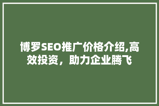 博罗SEO推广价格介绍,高效投资，助力企业腾飞