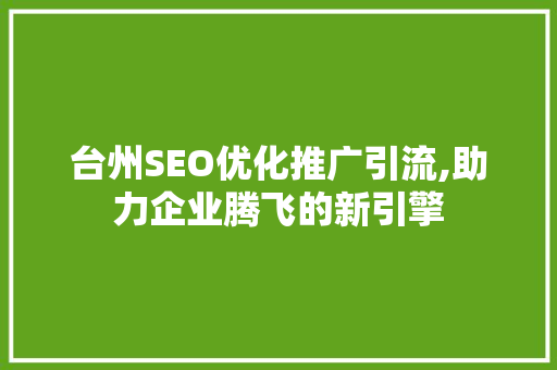 台州SEO优化推广引流,助力企业腾飞的新引擎
