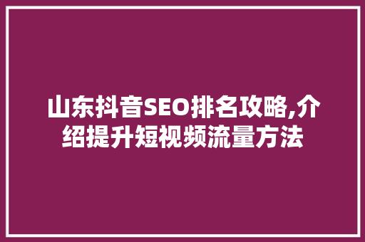 山东抖音SEO排名攻略,介绍提升短视频流量方法