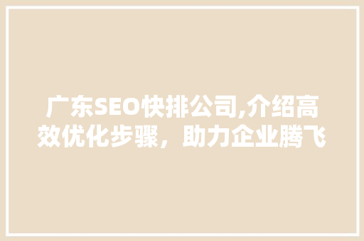 广东SEO快排公司,介绍高效优化步骤，助力企业腾飞