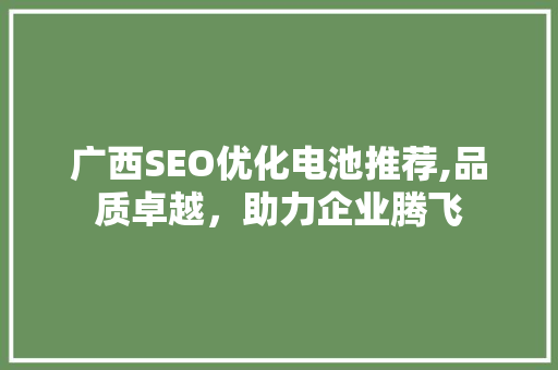 广西SEO优化电池推荐,品质卓越，助力企业腾飞
