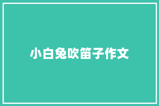 传媒代码数字时代的灵魂与未来