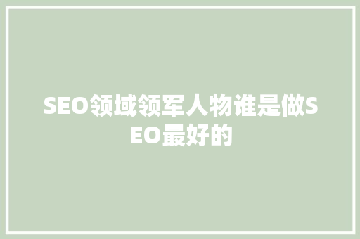 SEO领域领军人物谁是做SEO最好的