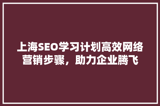 上海SEO学习计划高效网络营销步骤，助力企业腾飞