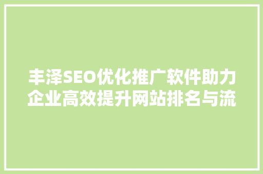 丰泽SEO优化推广软件助力企业高效提升网站排名与流量