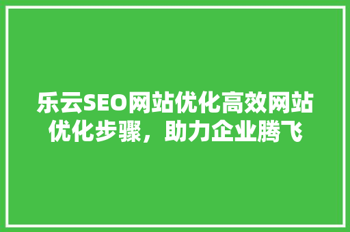 乐云SEO网站优化高效网站优化步骤，助力企业腾飞