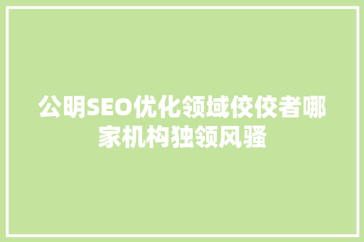 公明SEO优化领域佼佼者哪家机构独领风骚