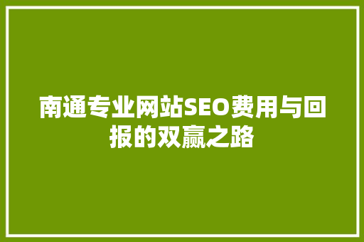 南通专业网站SEO费用与回报的双赢之路