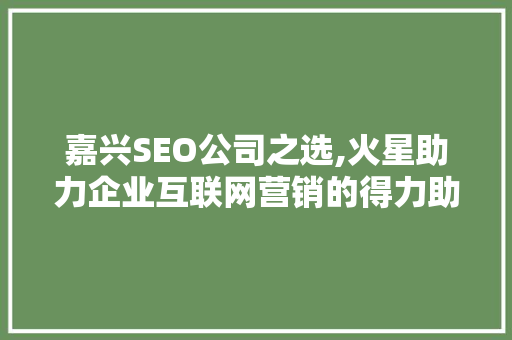 嘉兴SEO公司之选,火星助力企业互联网营销的得力助手