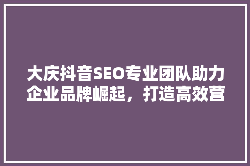 大庆抖音SEO专业团队助力企业品牌崛起，打造高效营销步骤