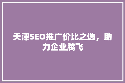 天津SEO推广价比之选，助力企业腾飞