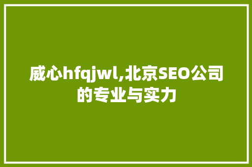 威心hfqjwl,北京SEO公司的专业与实力