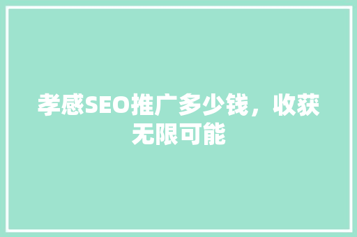 孝感SEO推广多少钱，收获无限可能