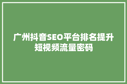 广州抖音SEO平台排名提升短视频流量密码