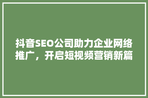 抖音SEO公司助力企业网络推广，开启短视频营销新篇章