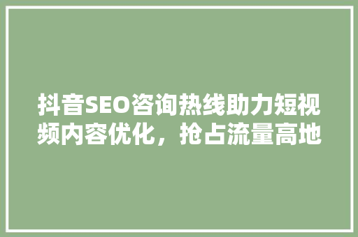 抖音SEO咨询热线助力短视频内容优化，抢占流量高地