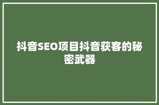 抖音SEO项目抖音获客的秘密武器