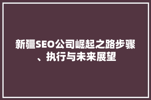 新疆SEO公司崛起之路步骤、执行与未来展望
