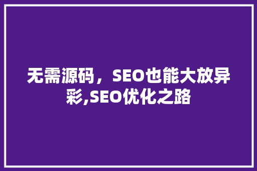 无需源码，SEO也能大放异彩,SEO优化之路