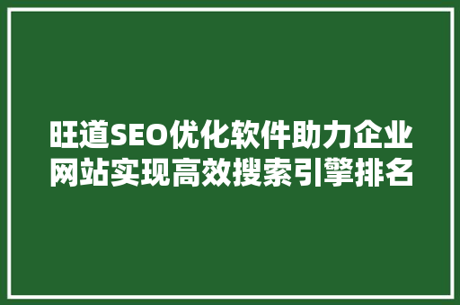 旺道SEO优化软件助力企业网站实现高效搜索引擎排名