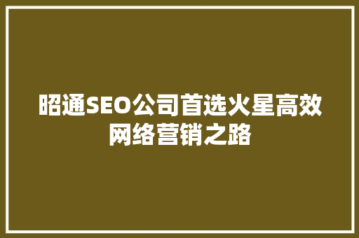 昭通SEO公司首选火星高效网络营销之路